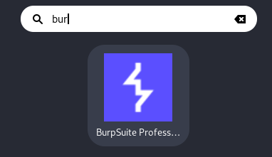 RESULTADO BUSQUEDA DE APLICACION