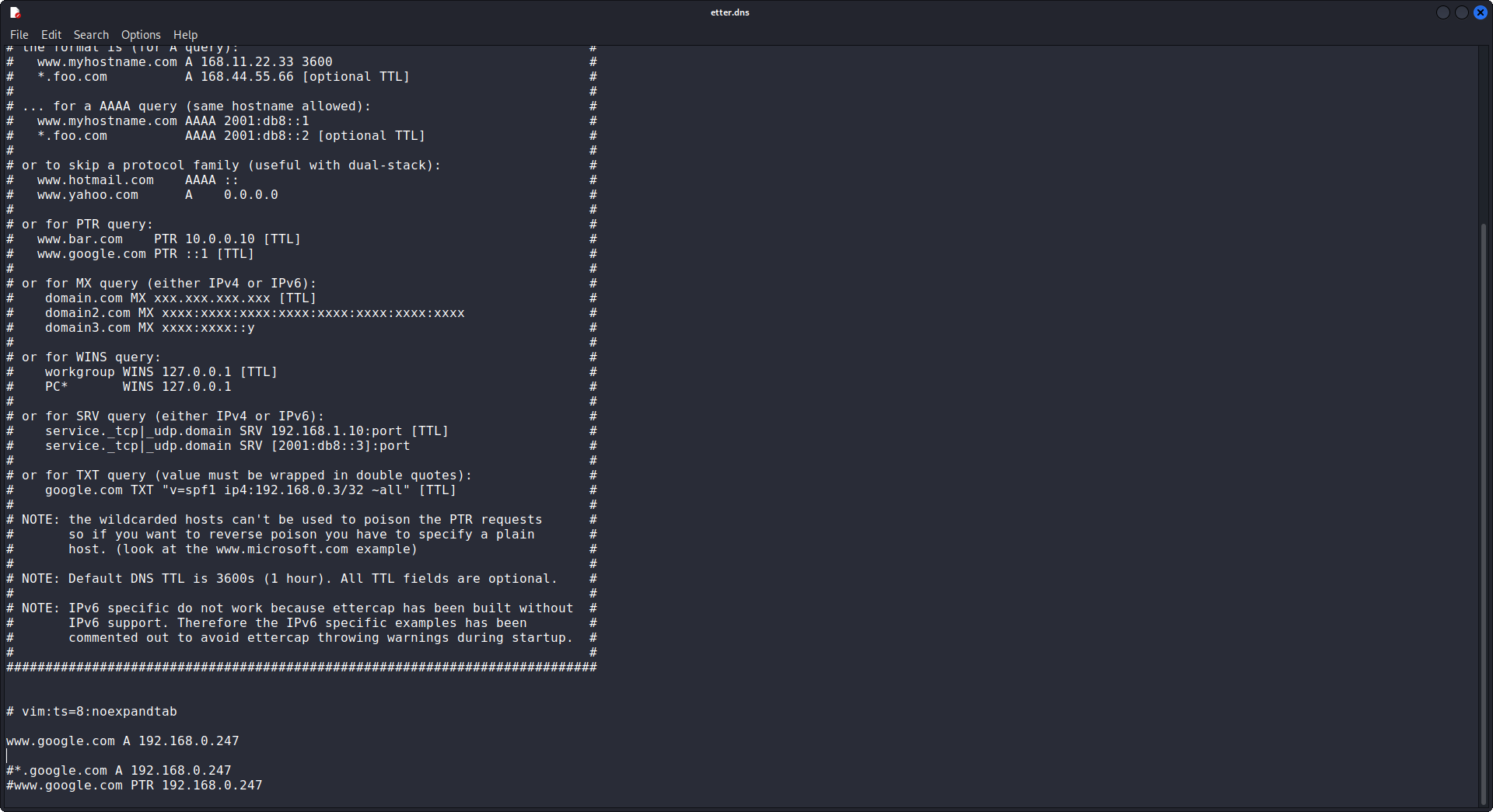 RESULTADO DE LA CONFIGURACION DEL .DNS
