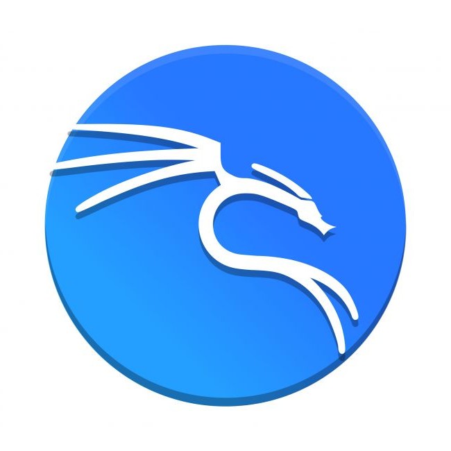 My Custom Kali Setup